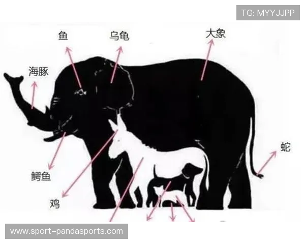 通过发型识别足球巨星挑战赛一起来测试你的眼力与足球知识 通过发型识别足球巨星挑战赛一起来测试你的眼力与足球知识